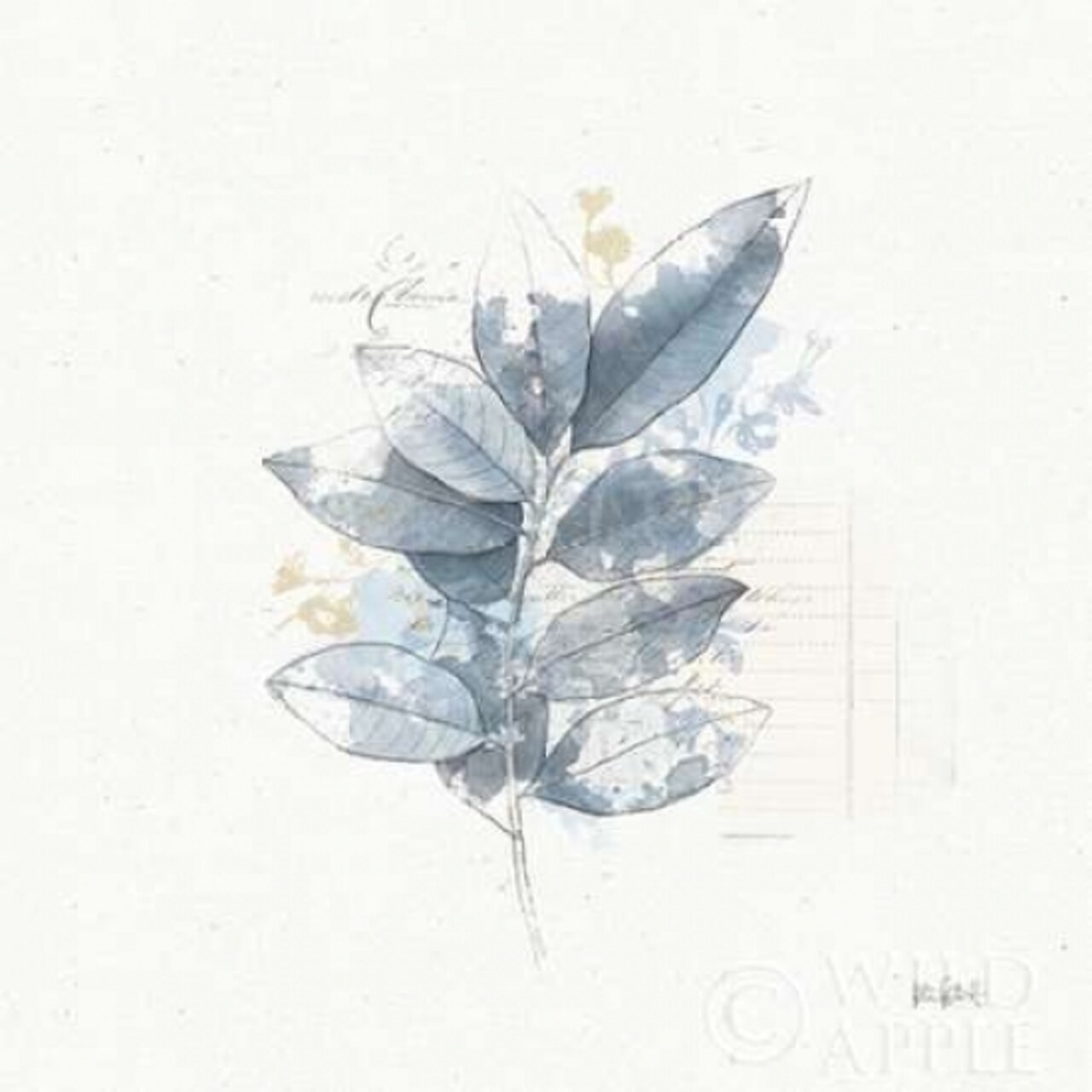 Floresta II Poster Print by Katie Pertiet - Item # VARPDX30008